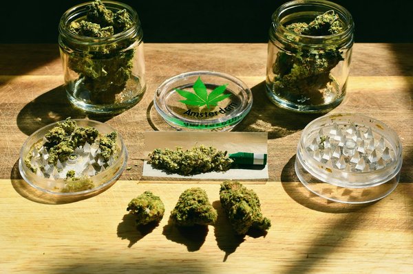 Pollen de cbd : astuces pour faire le bon choix