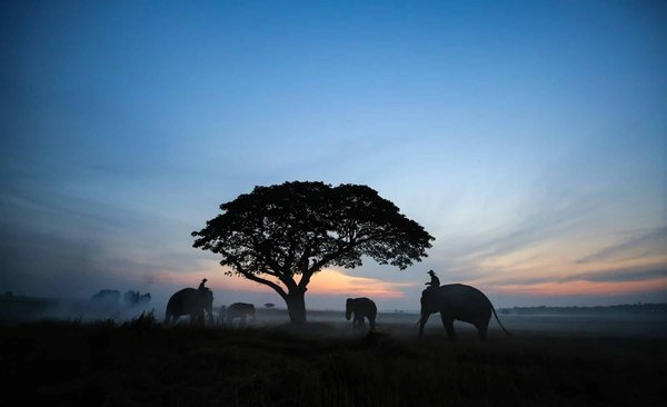 Conseils pour réussir votre voyage en Thaïlande